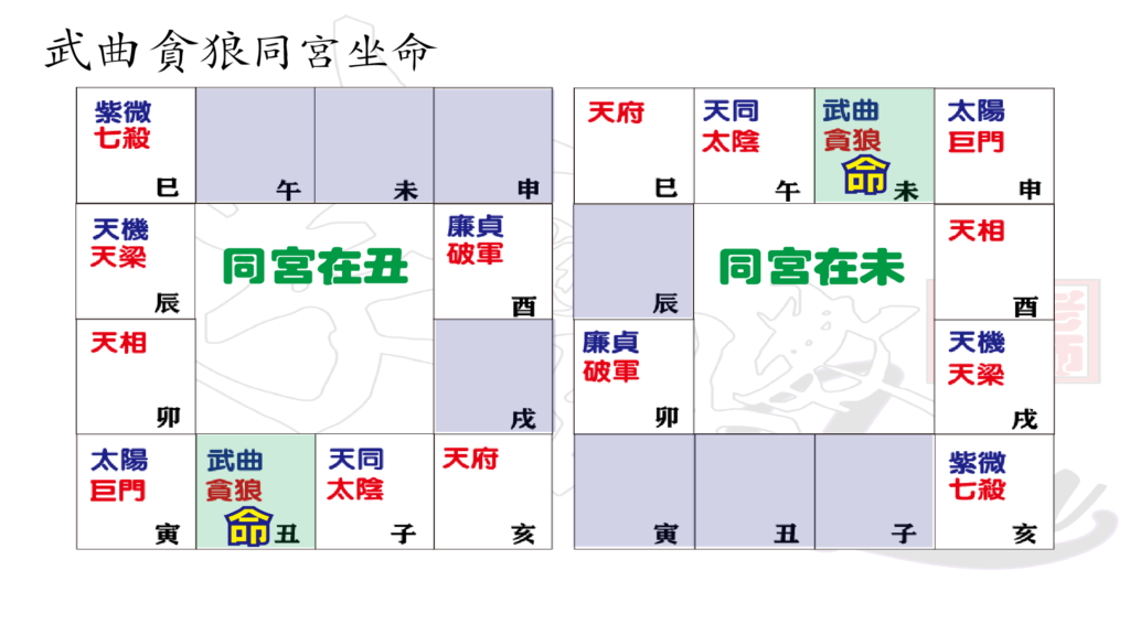 162 科學看紫微