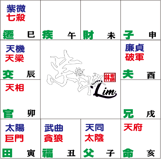 命盘紫杀1天府在亥 科學看紫微