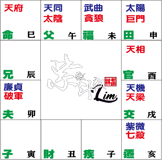 命盘紫杀2天府在巳 科學看紫微