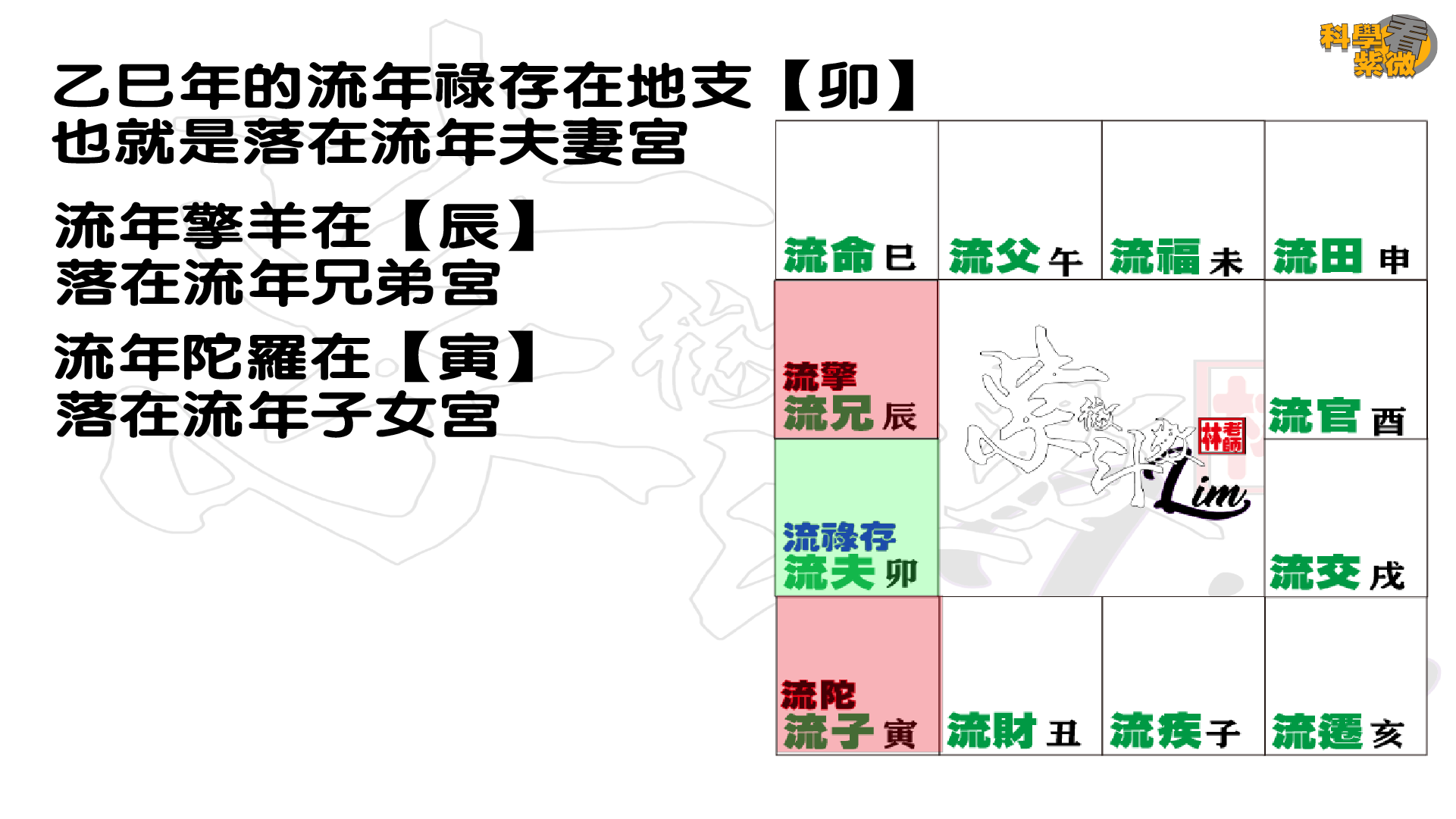 2025乙巳年流年运势之二各个流年命盘 - 科學看紫微